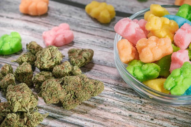 What should you look for when purchasing CBD gummies?